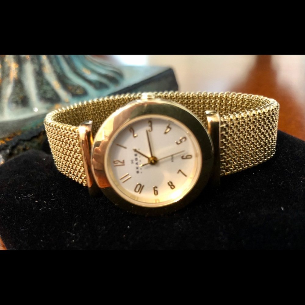 NWOT SKAGEN Gold Plated Expansion Band Watch